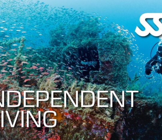 Independent Diving